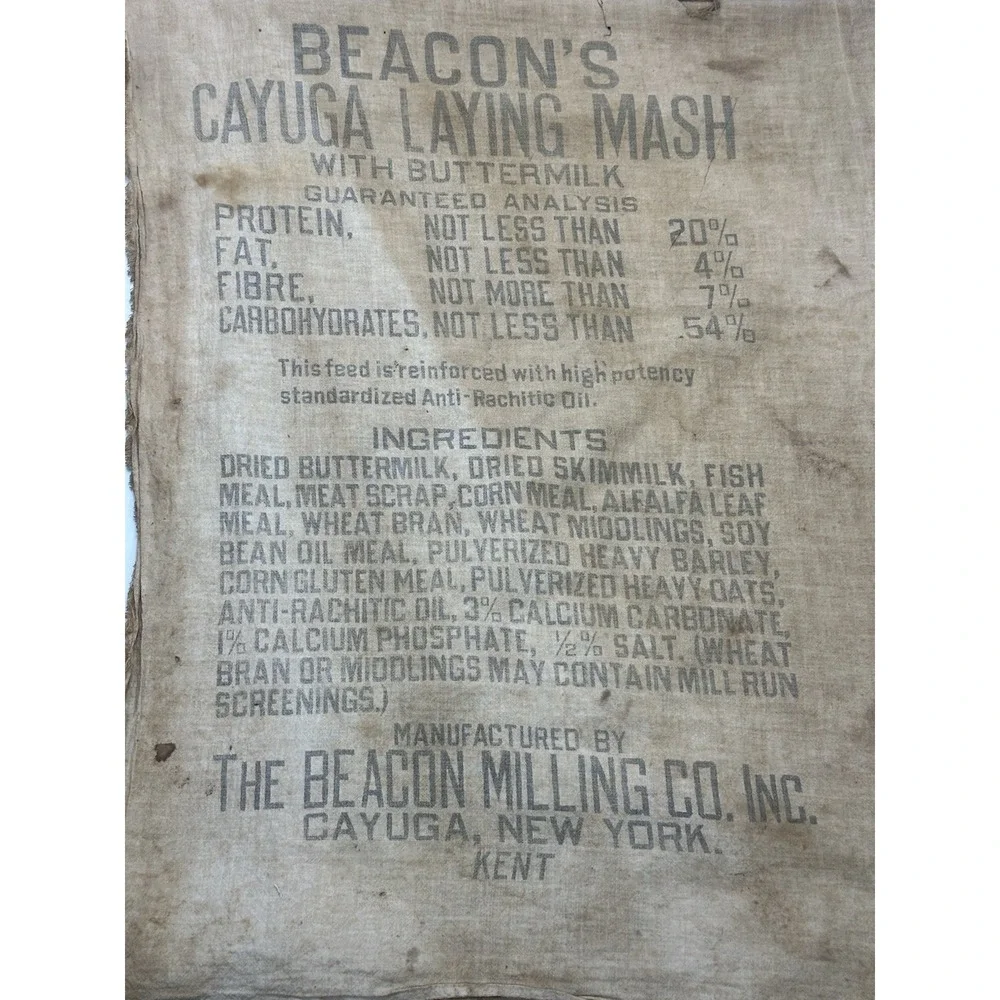 Vintage Cayuga Chicken Feed Bag‎ Beacon Milling Co Laying Mash Indian Chief Head